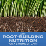Scotts® Turf Builder® Grass Seed Sun & Shade Mix®