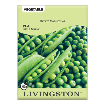 Livingston Pea Little Marvel