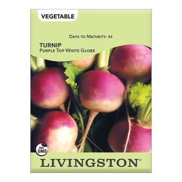 Livingston Turnip Purple Top White Globe